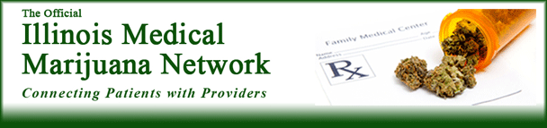 IMMN website header logo'