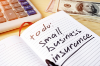 Small Business Insurance Market