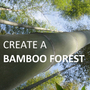 Bamboo Forest'
