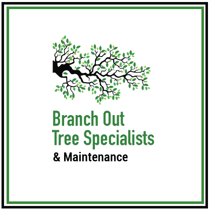 Company Logo For Tree Lopping Sydney North Shore'