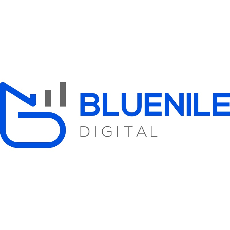 Company Logo For Blue Nile Digital'