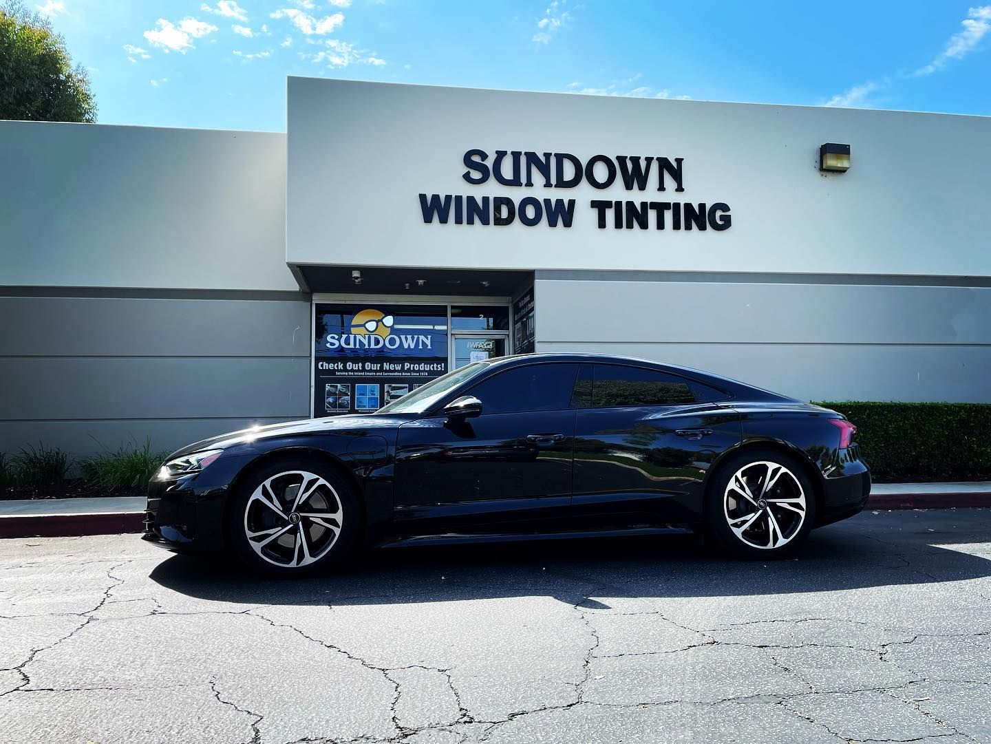 Paint Protection Film'