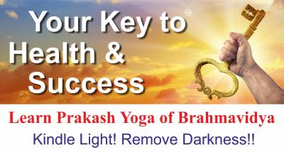 Company Logo For Brahmavidya'