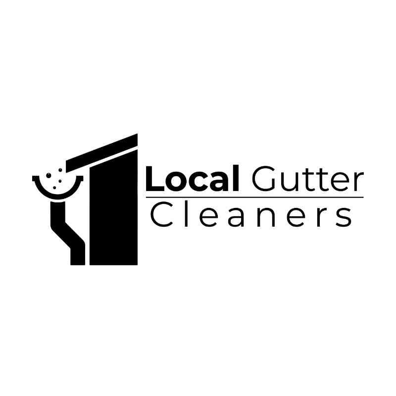 Company Logo For Local Gutter Cleaners'