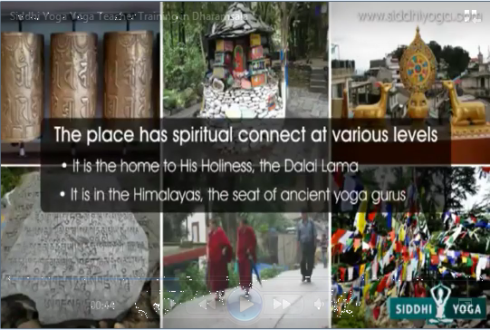 Yoga Retreats India'