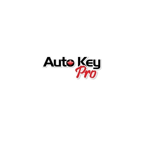 Company Logo For Auto Key Pro'