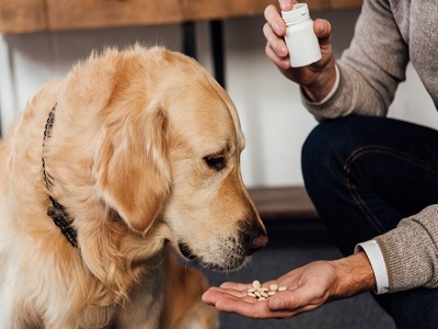 Pets Vitamins and Supplement Market'