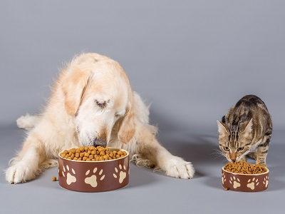 Dog and Cat Food Market'