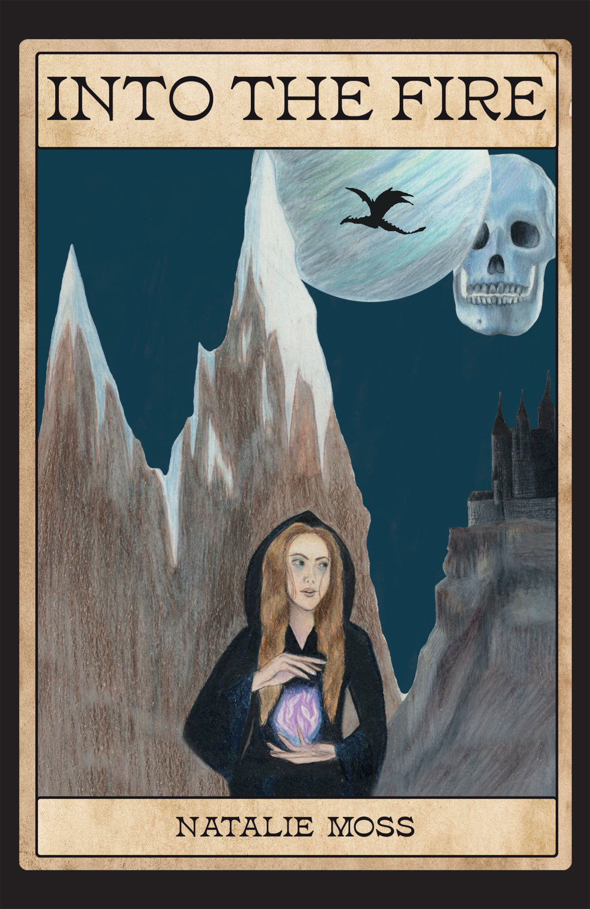 Cover of Into the Fire'