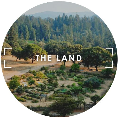 Company Logo For The Land'