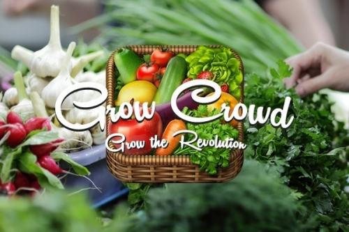Grow Crowd IOS App'