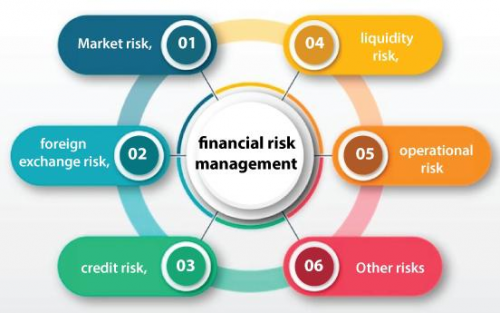 Financial Risk Management Software'