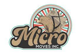 Company Logo For Micro Moves inc.'