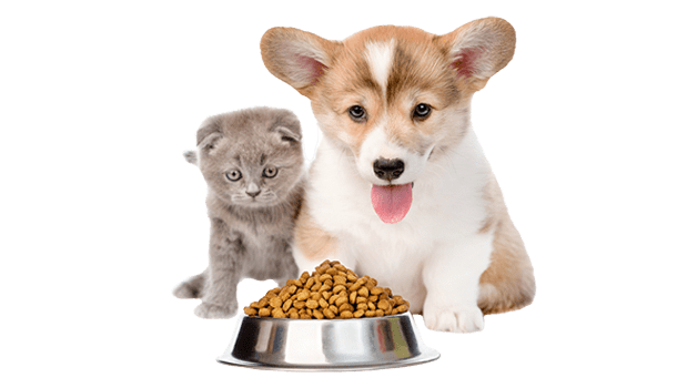 Pet Food Market