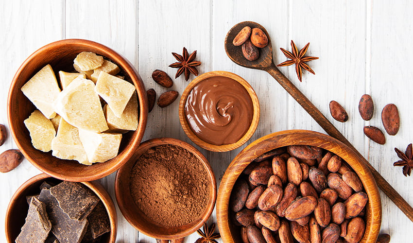 Cocoa Products Market