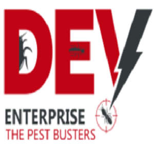 Termite Treatment in Vadodara