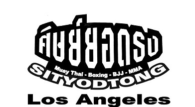 Company Logo For Sityodtong USA'