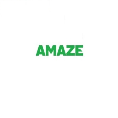 Company Logo For AMAZE'