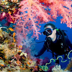Underwater Connection Logo