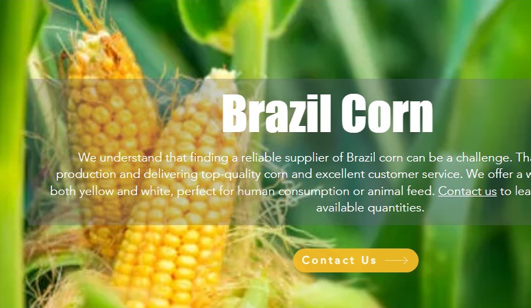 Company Logo For Non gmo corn suppliers'