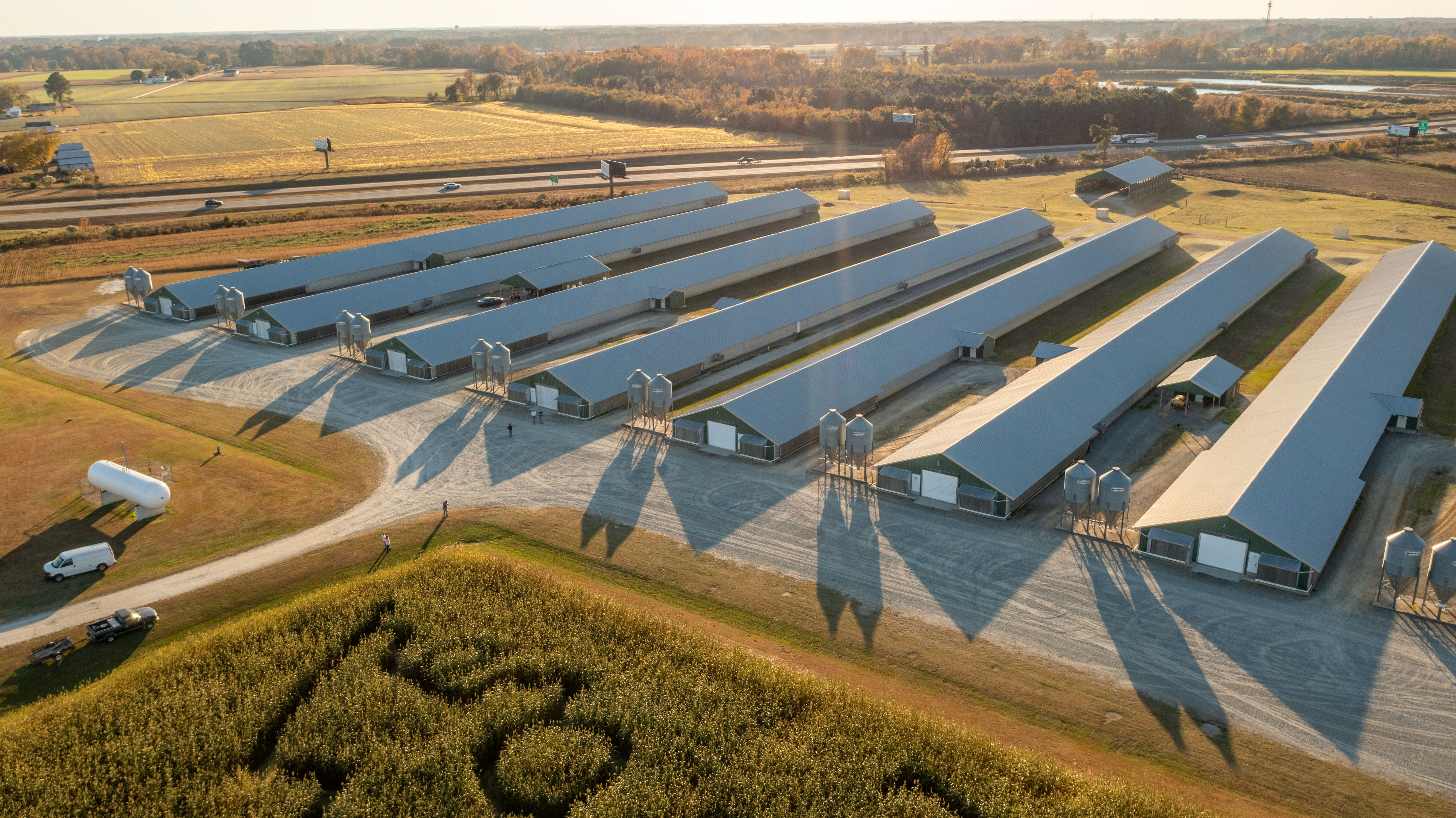 My Pro Photographer Logo