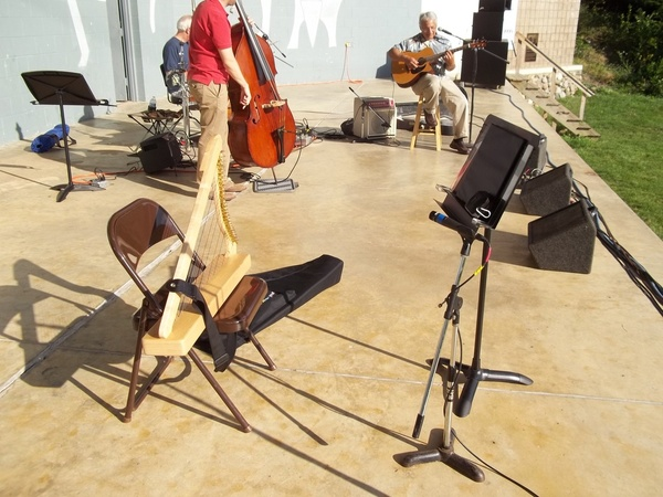 A Concert Grand Harp'