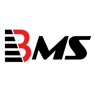 Company Logo For BMS Auditing Dubai | Audit Firms in Dubai |'