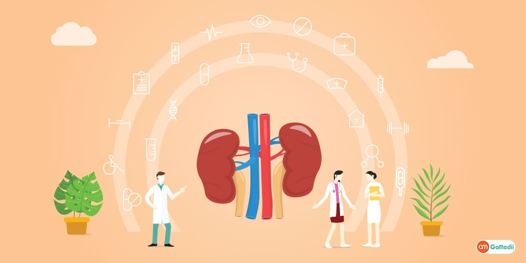 Kidney Treatment in India'