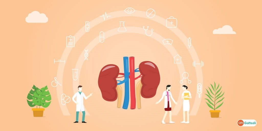 Kidney Treatment in India