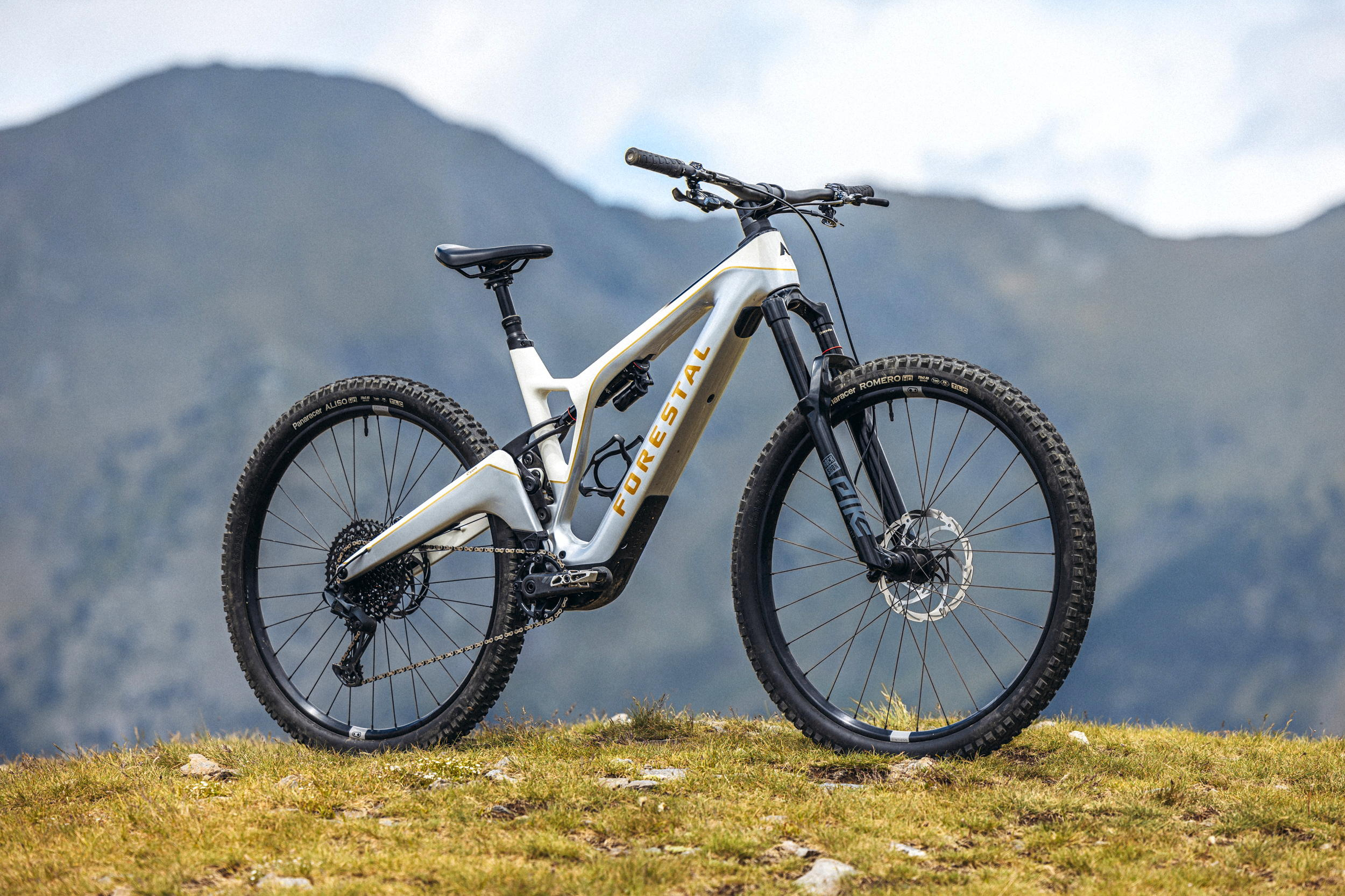 E-mountain Bike (Electric Mountain Bike) Market