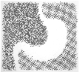 The Los Angeles Endoscopy Center