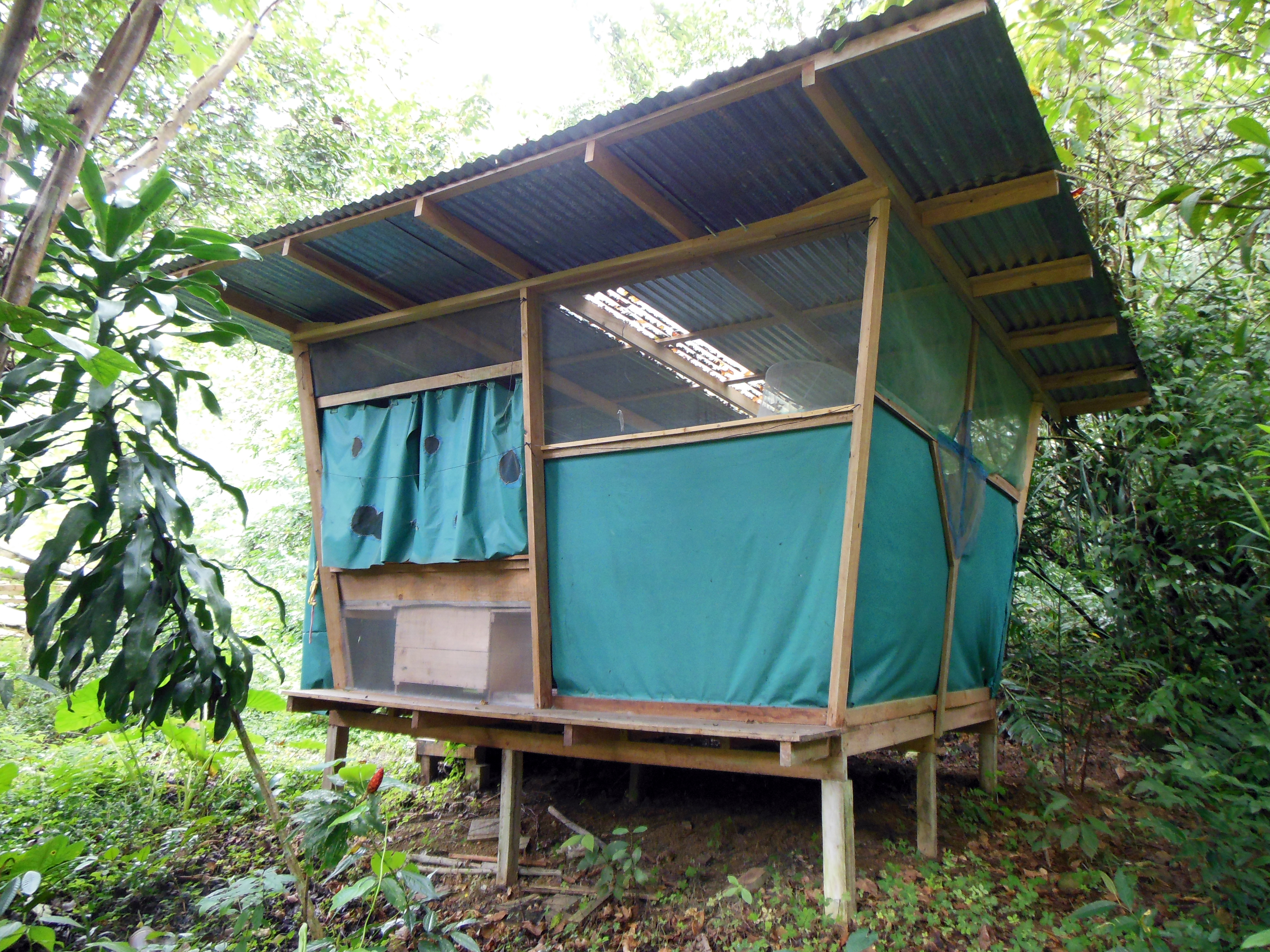 Community Center'