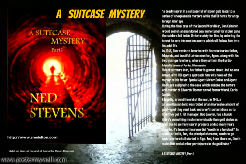 Spotlight Books-A Suitcase Mystery-Steven Nedelton'