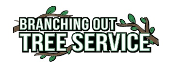 Company Logo For Tree Cutting &amp; Trimming Bellmore'
