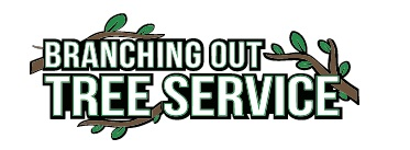 Company Logo For Tree Cutting &amp;amp; Trimming Bellmore'