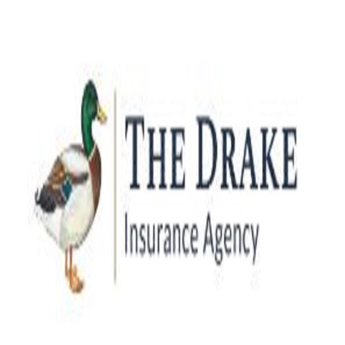 Company Logo For The Drake Insurance Agency'