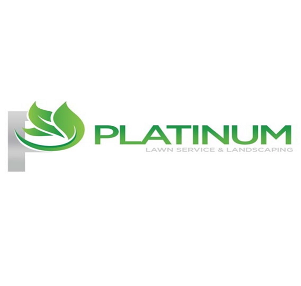 Platinum Landscape'