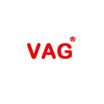VAG Group of Education Logo
