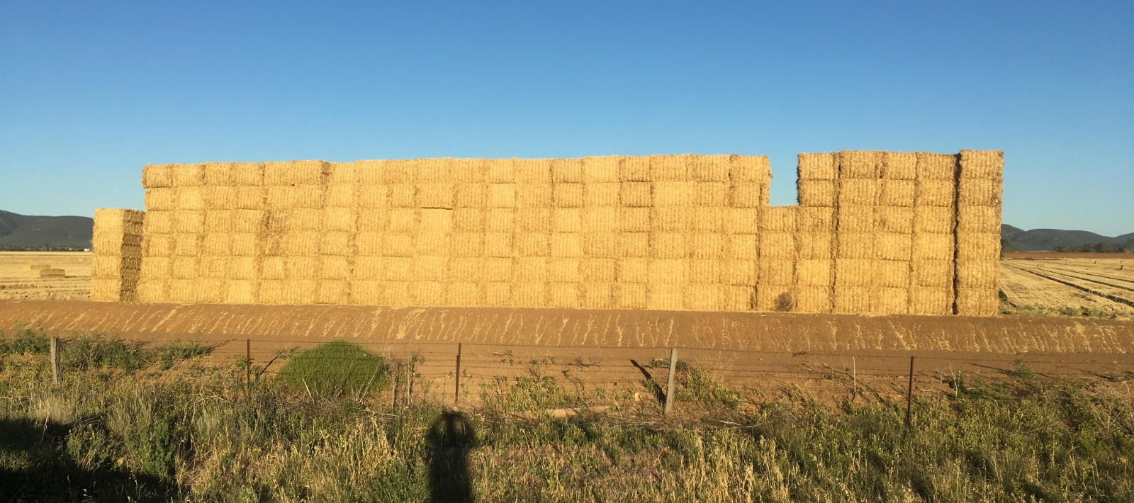 Baling Twine