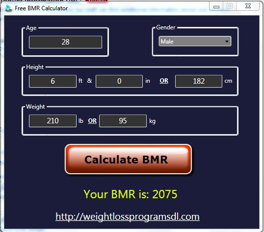 Weight Loss Programs DL