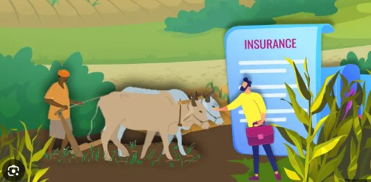 Crop and Livestock Insurance'