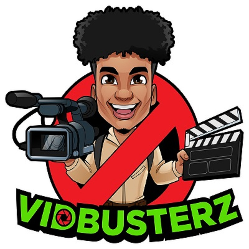 Company Logo For VIDBUSTERZ'