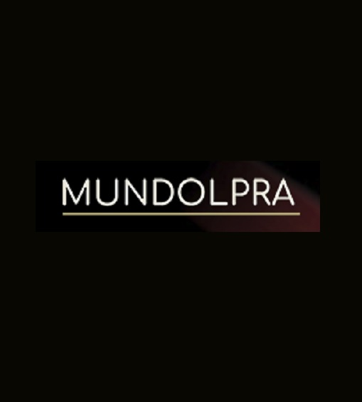 Company Logo For Replica Burberry Bags - Mundolepra'