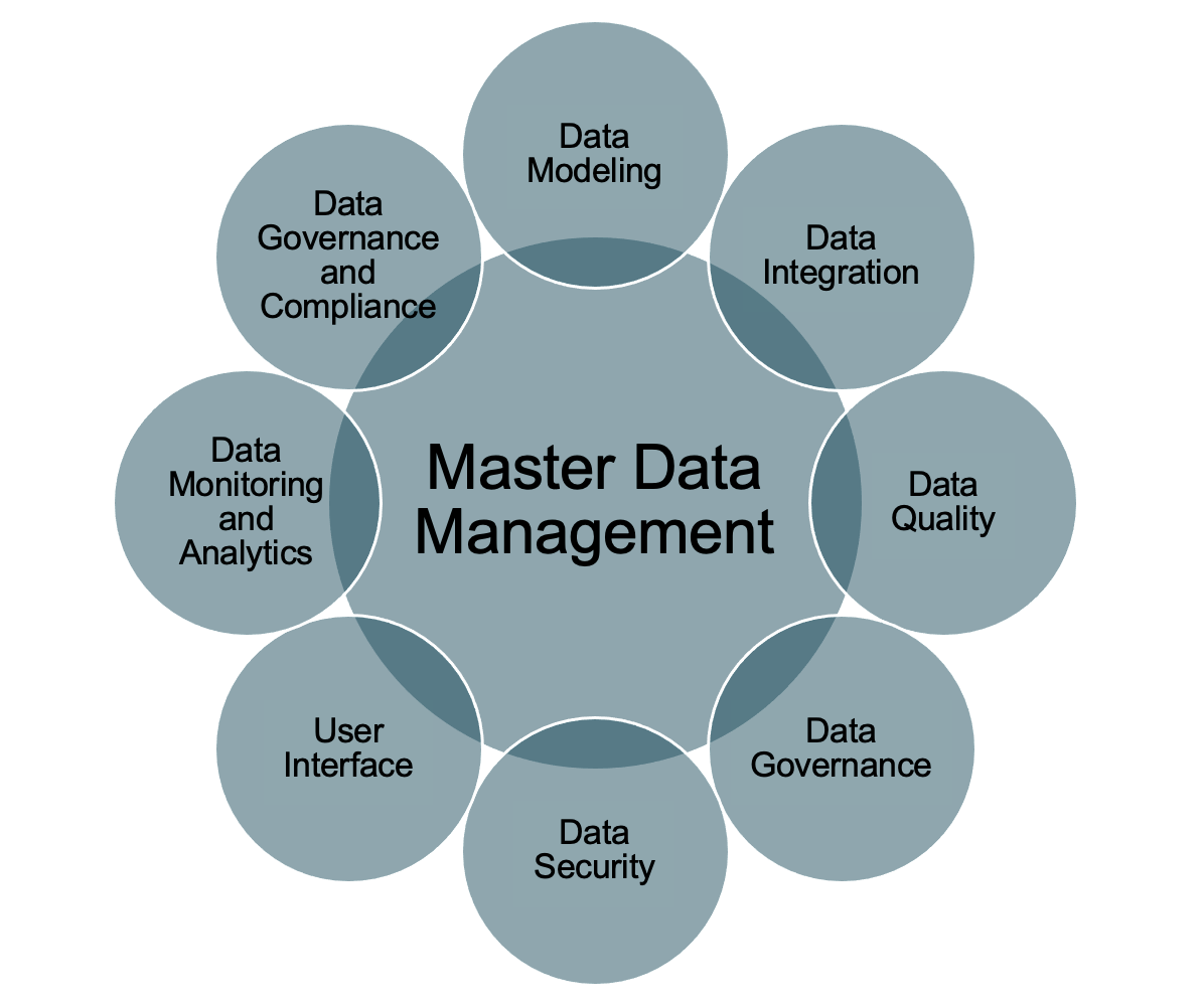 Master Data Management'