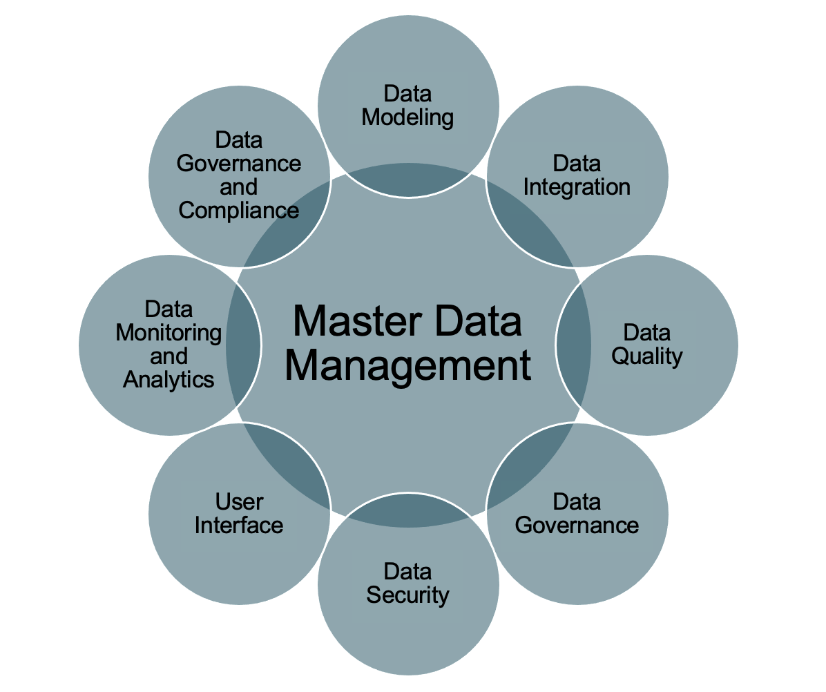 Master Data Management