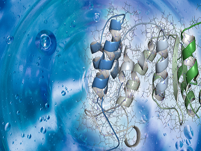 Fragment-based Drug Discovery Market'