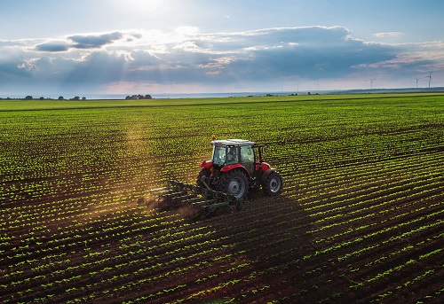 Company Logo For Heartnut Grove WWT'