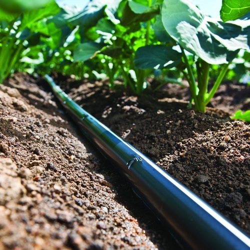 Company Logo For Heartnut Grove WWT'