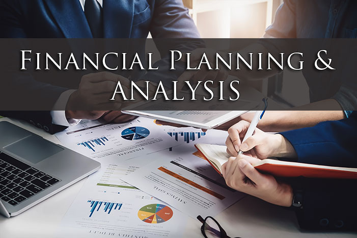 Financial Planning and Analysis Services Market