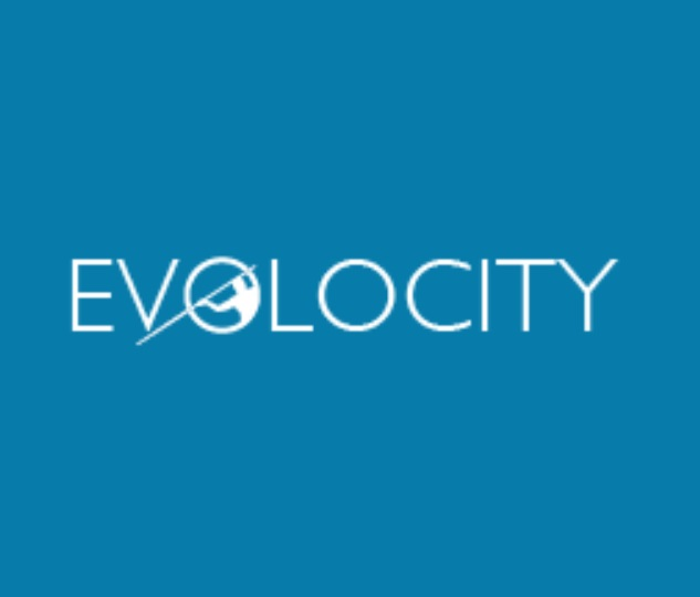 Evolocity SEO